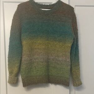 Karen Kane Earthy Gradient Sweater